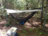 Sierra Madre lay flat hammock tent