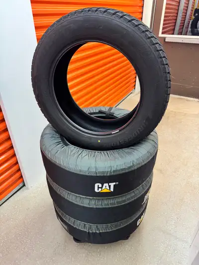 I'm selling a set of four Bridgestone Blizzak DM-V2 winter tires, size 225/60R18 100S. These tires a...