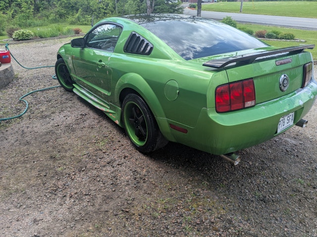 Ford Mustang 2006 — photo 3