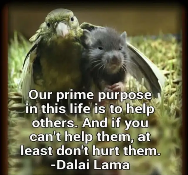 Making a Great Friendship(Read Entire Ad before Responding))!!! 64418619827459120