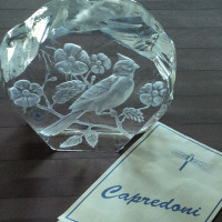 Capredoni paper weight