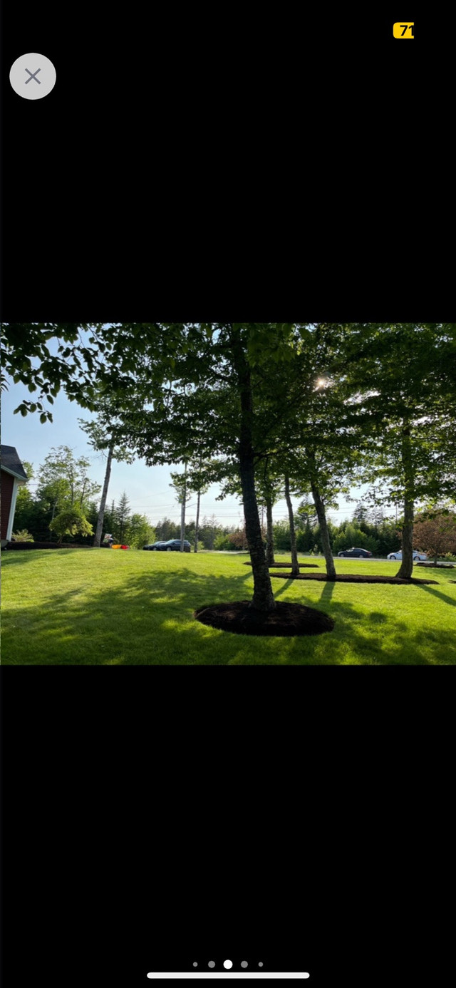 LANDSCAPING / LAWN MOWING SERVICES in Lawn, Tree Maintenance & Eavestrough in City of Halifax - Image 3