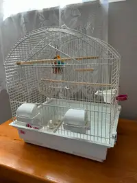 Small bird cage with accessories