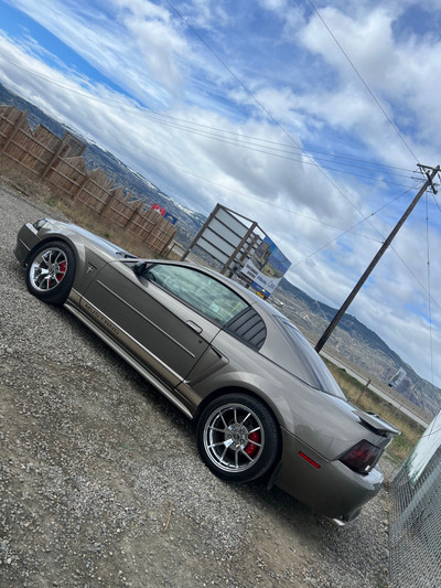 02 Supercharged mustang 3.8l 