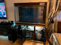 Fish tank/aquarium