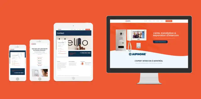 Cheap and efficient websites, the local SEO guy on the net62863247850242121