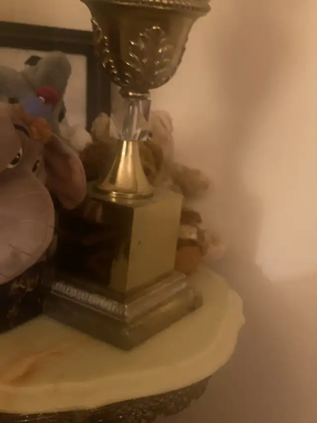 Vintage Antique Lamp shades in Dressers & Wardrobes in Markham / York Region - Image 3