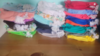 AMP cloth diaper lot (69pc)