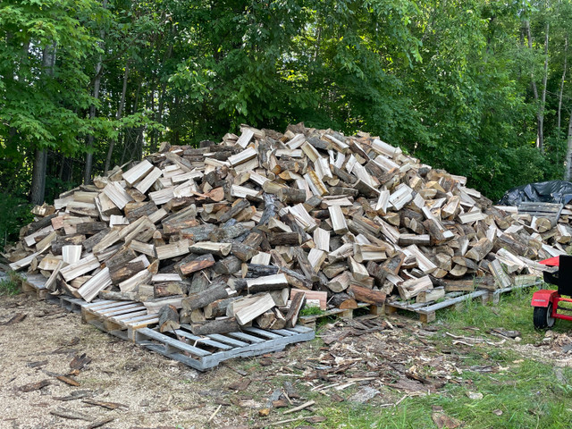 Seasoned Hardwood Firewood in Other in Kingston - Image 3