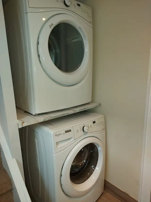 Private room for rent in basement in Room Rentals & Roommates in City of Toronto - Image 7