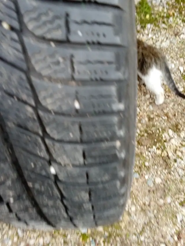 Snow tires in Tires & Rims in Stratford - Image 4