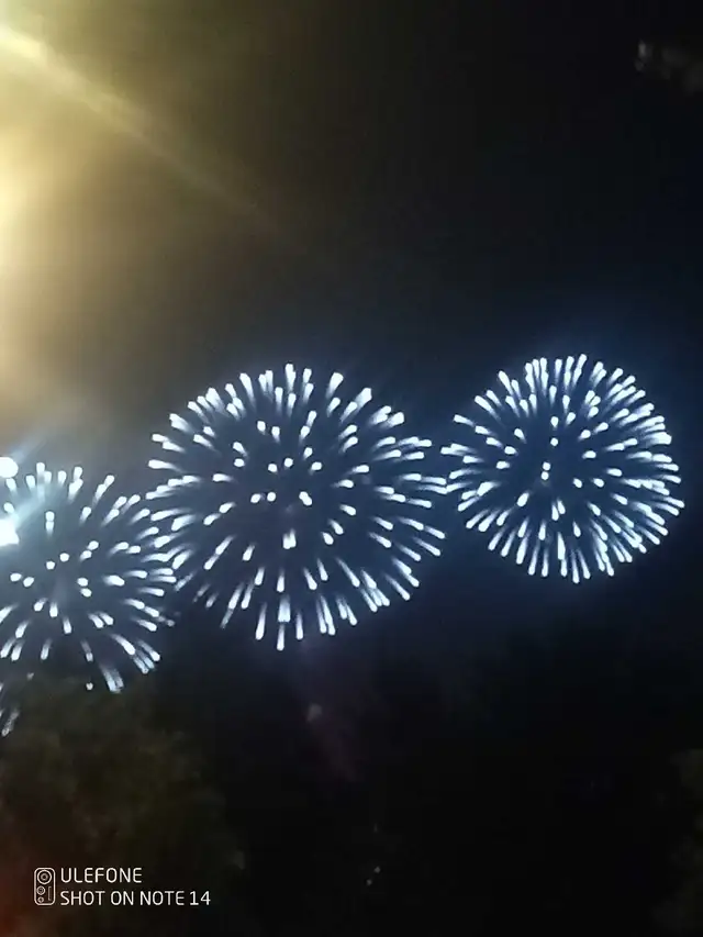 Collaboration64855367233025120