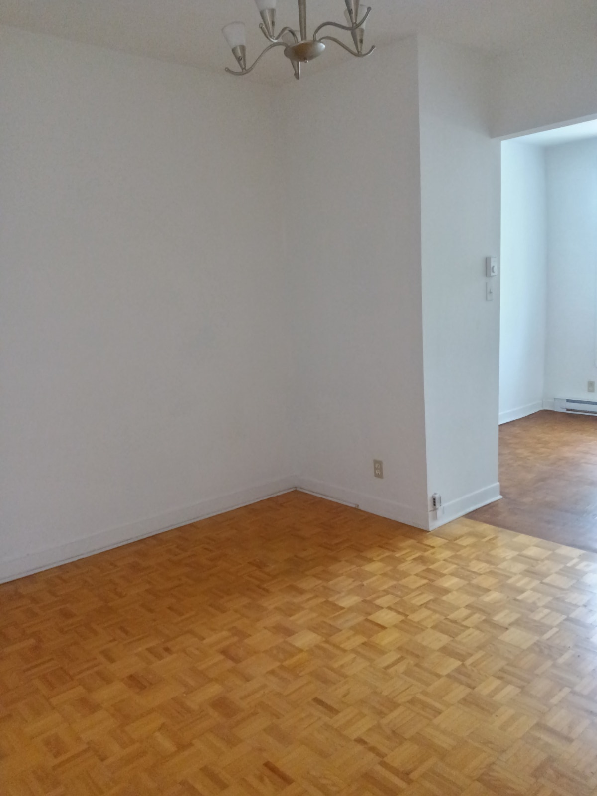 3 1/2 rue Cartier près de Sherbrook — photo 3