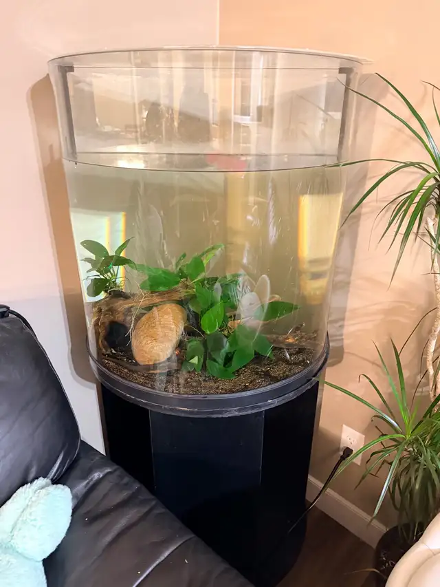 30-Gallon Half-Moon Aquarium and stand