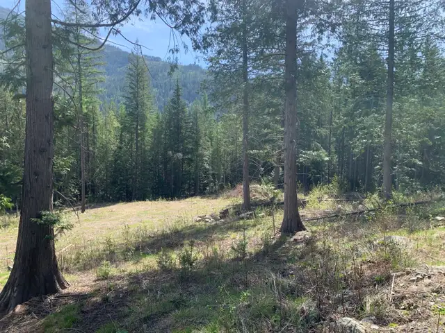10 Acres Build-Ready Land in Land for Sale in Nelson - Image 7