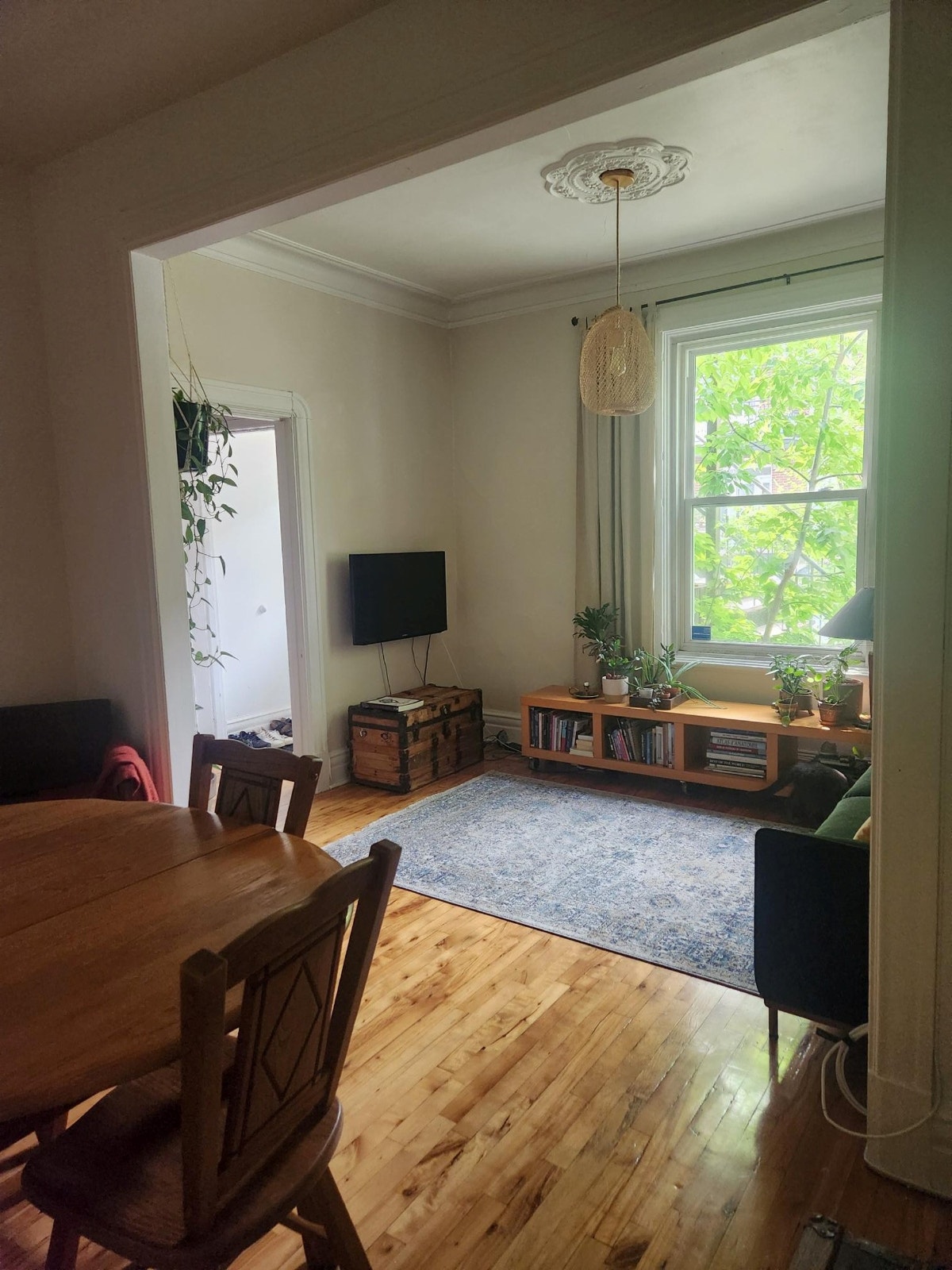 Appartement à louer (5 1/2 Rosemont-La Petite Patrie) — photo 2