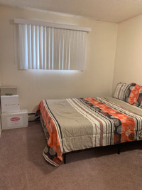 1 Private Bedroom (Females only)