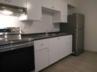 Very nice and clean apartment near the bridges and University!