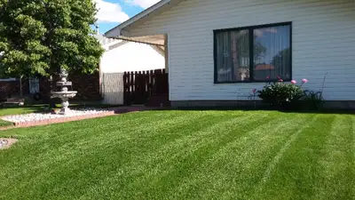 Rent a nice bedroom in this fully renovated basement. Good for a single male. LOCATION: 60 St & 137...