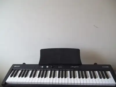 Electric piano 61 keys AMYOOE  including Adapter + Pedal, View more