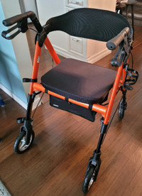 Heavy duty Walker - supports up to 450lbs