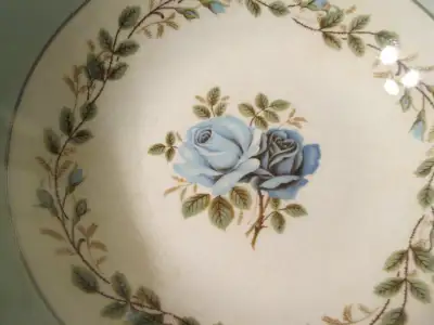 Barrett's Delphatic table ware, View more
