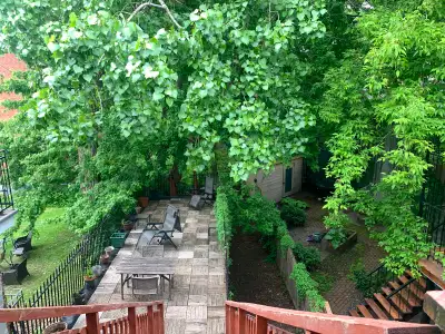 3 1/2ToutInclusRénovéWifiJardin4Électros1360$Poss2ChambresMetro