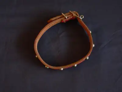 New Dog Collar Approx. 5 1/2" Across,19" Long,13" Usable For Dog, View more