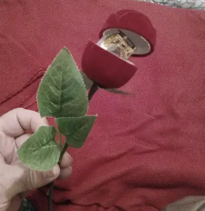 Ring _ New with Tag _ Red Color _ Size 16_ Flower Box, View more