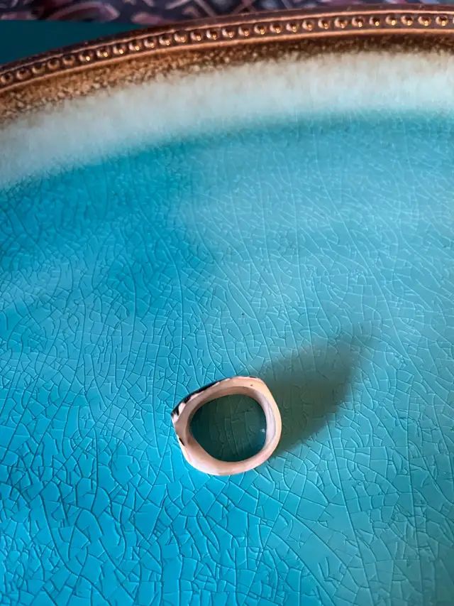 Unique shell ring63660926973059121