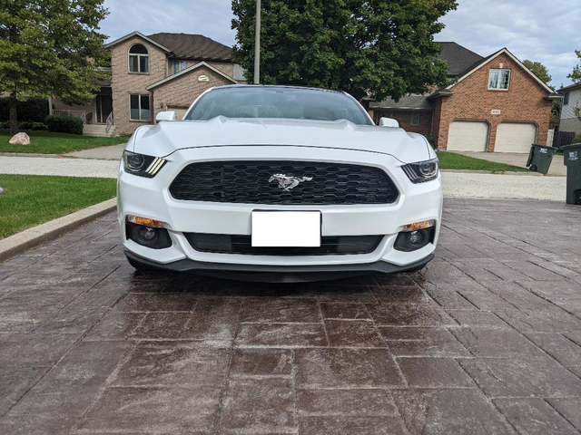 2017 MUSTANG EXCELLENT CONDITION