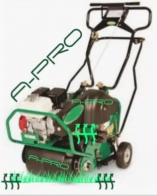 Removal of fallen branches/trees, aeration, clearing +62863722453635122
