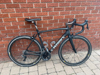 Specialized S-Works for sale