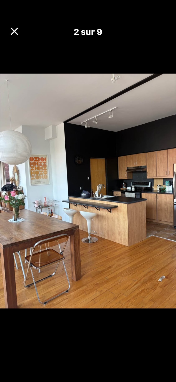 Grand loft chiens acceptés — photo 2
