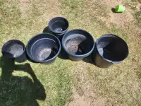 FREE Planting Pots