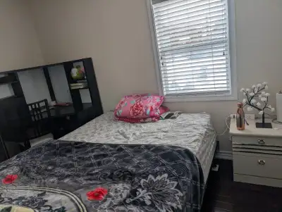 Rent includes all the utilities and high speed internet. Looking for female partner to share a fully...