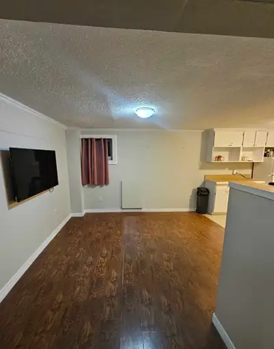 This cozy and functional basement apartment features an open-concept living area with durable wood-s...