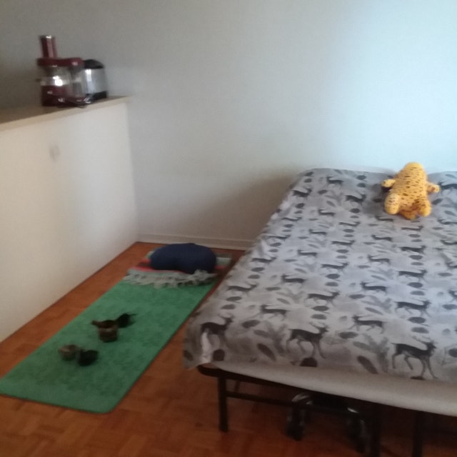 858 Studio Apartment All Utilities Included.Montreal,Sherbrooke