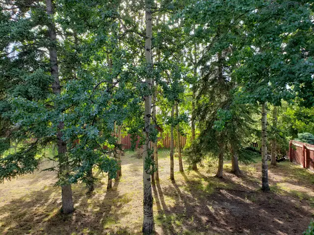 6-Bed Home with Legal Suite and Large Beautiful Yard