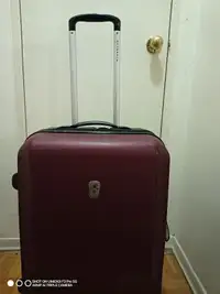 Check-in luggage