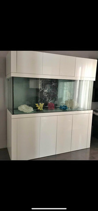 Aquarium 220Gal tank