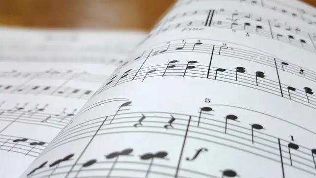Private and/or Group Music Lessons570608491693363203