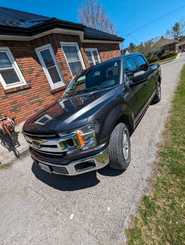 2018 Ford F-150 in Cars & Trucks in Peterborough - Image 4