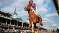 Thoroughbred horse trainer