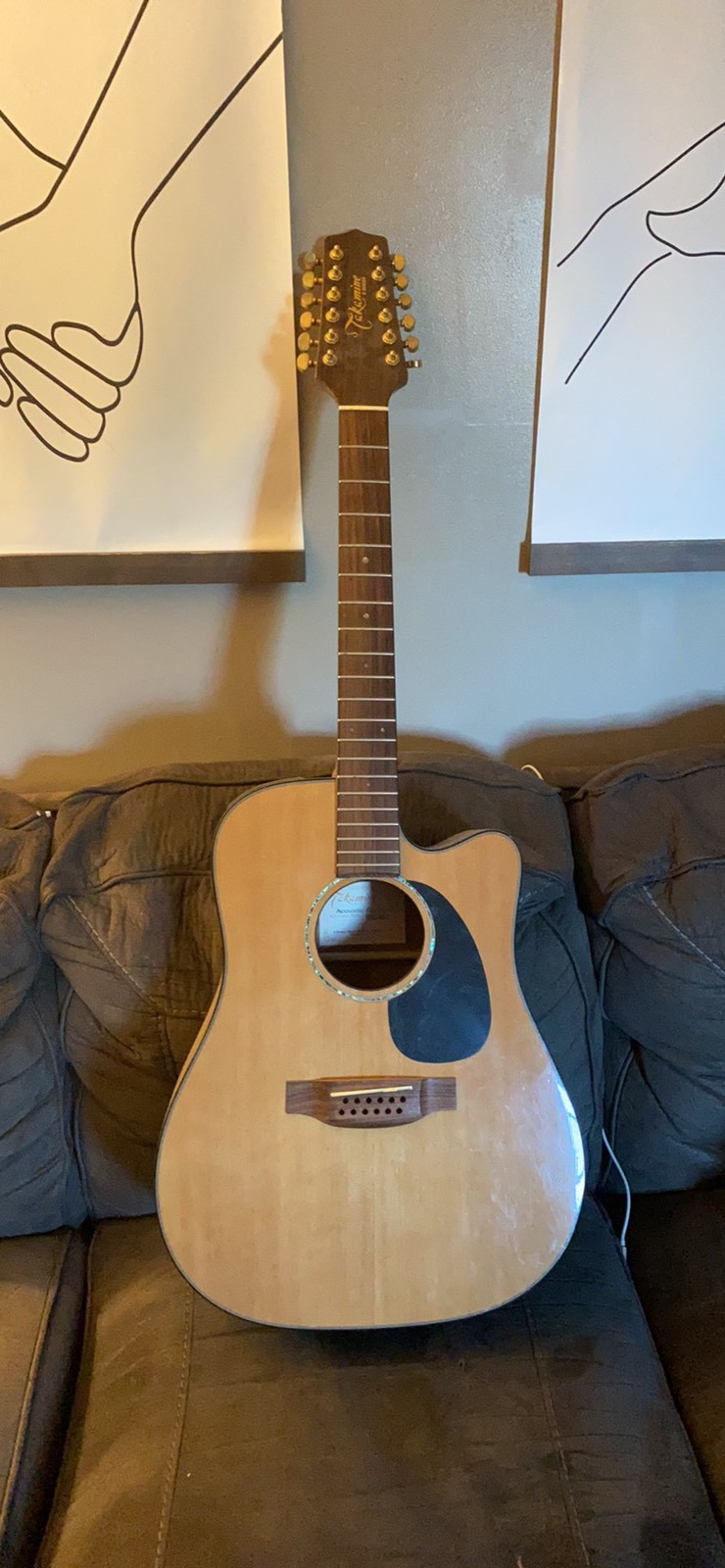 Takamine 12 string Guitar  for sale  