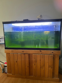  4 feet Aquarium for sale with oxygen, fuel canister filter 