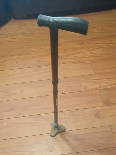 Walking Cane, View more
