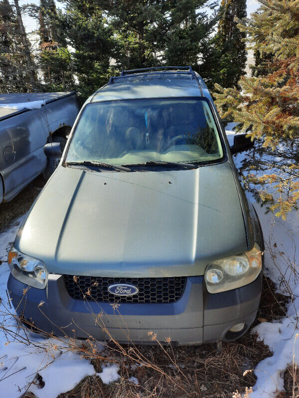 parting out 04 and 06 ford escapes in Auto Body Parts in Chatham-Kent - Image 2