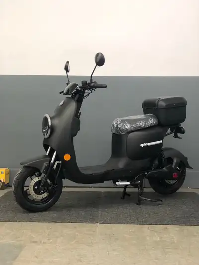 Scooter électrique Italia Ultra - 800 watts - Autonomie de 50km, View more