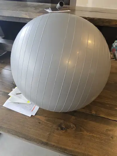 Exercise Ball, View more